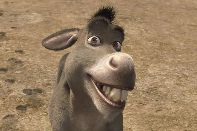 burro Sherk