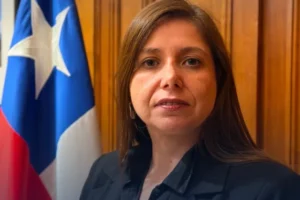 Subsecretaría de Seguridad Pública, Pilar Giannini