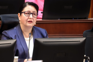 Hermosilla Pérez