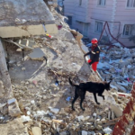 Devastadores terremotos en Venezuela: Aumentan muertos y heridos