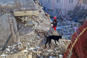 terremotos Venezuela