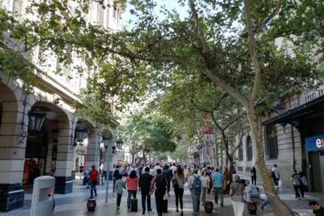 Primer Barómetro de Protección Social: 67% no confía en el sistema