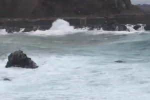 Marejadas