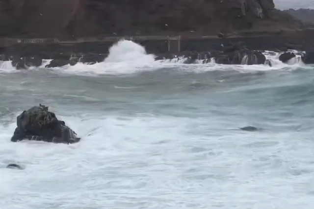 Marejadas