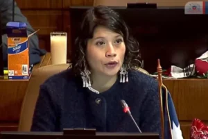 Diputada Ñanco