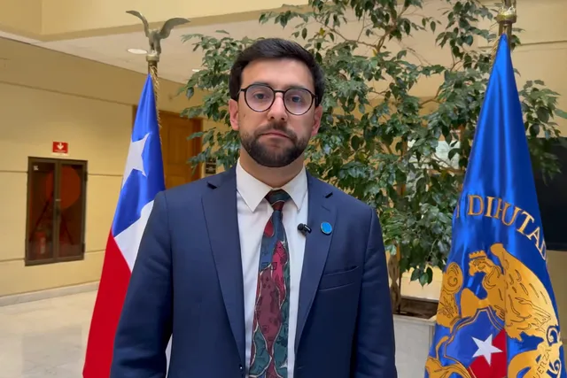 Diputado Matías Fernández
