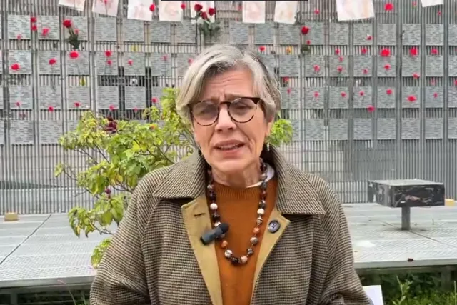 Lorena Fries cuestiona demora en retirar reforma de seguridad