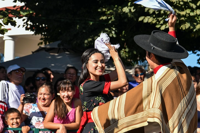 fiestas patrias sumarios