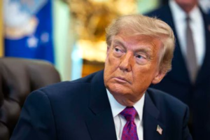 Trump Malvina