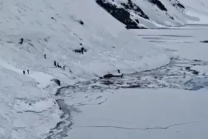Avalancha