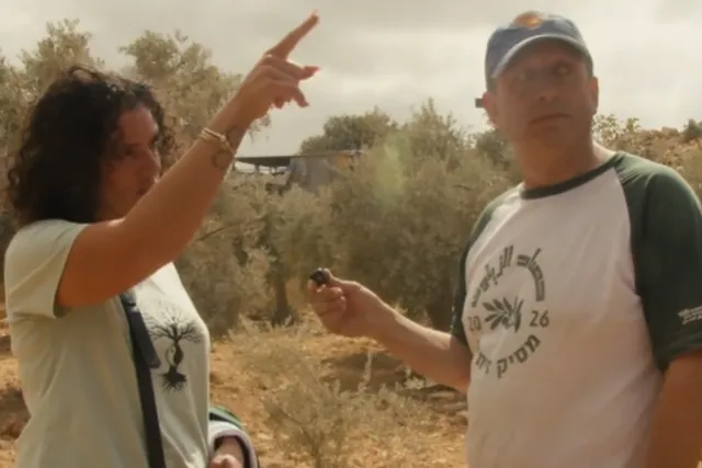 Israel detiene a candidato demócrata en olivar palestino