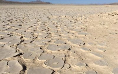 Estado Desierto de Atacama