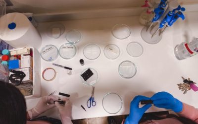 Crean microdispositivo que identifica peligrosos tóxicos de pesticidas del agro
