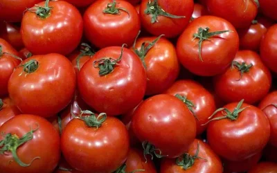precio tomates