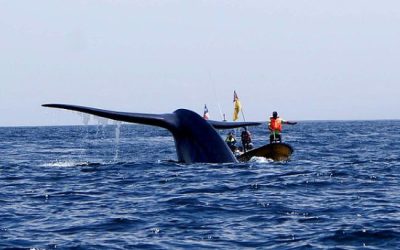 A_UNO_080378
