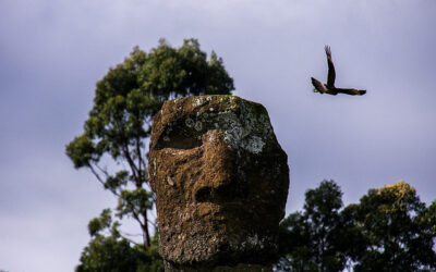 Rapa Nui responde a Boric: "La política usa nuestra cultura para ganar réditos".