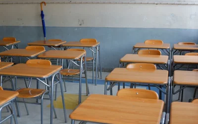 titularidad profesores