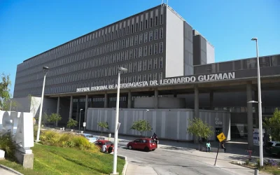 despedida Antofagasta