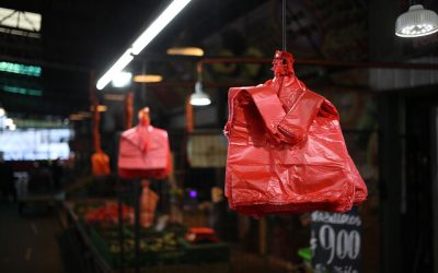 ¿Cuánto tardan en degradarse las bolsas plásticas?