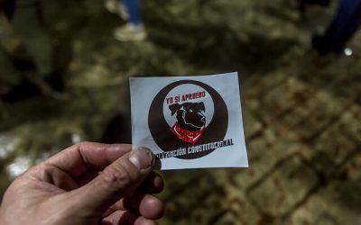 El sábado, durante la inauguración de la exhibición "La Tenaz Historia de Nuestra Estrella Roja", un emblema del Partido Comunista (PC) que se rescató tras el golpe de Estado, Lautaro Carmona, líder del partido, expresó su opinión sobre la controversia en torno al icónico perro "Matapacos".