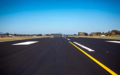 oso aeropuerto Japón