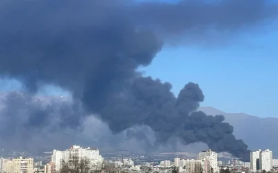 incendio Tomorrowland