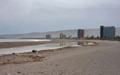 tsunami