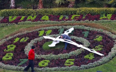 Viña presencia policial