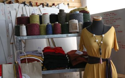 Día de los Pueblos Originarios y emprendimiento
