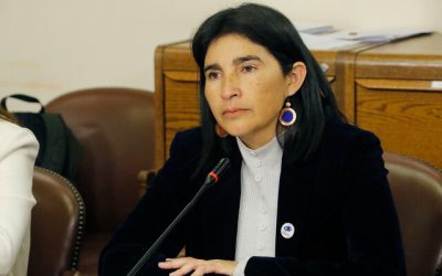 Diputada Yovana Ahumada