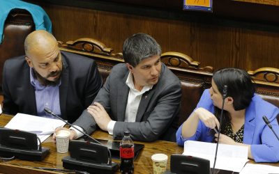 La seguridad privada ahora será profesional.