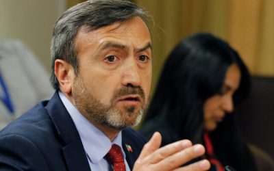 diputado