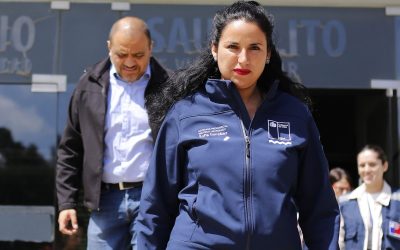 Villa Alemana: Gobierno se querellará contra autor de un foco del incendio.