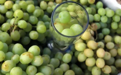 12 uvas