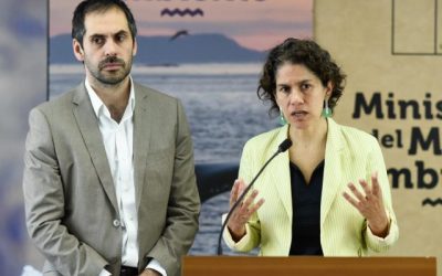 Gobierno afirma que reunión entre salmoneras y ministros está dentro del marco legal.