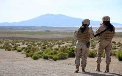 El Gobierno reconoció las dificultades en la frontera luego de las controvertidas declaraciones del fiscal regional de Tarapacá, Raúl Arancibia, quien señaló una "falta de control" en Colchane. Afirmó que al asumir su cargo, la situación estaba fuera de control.