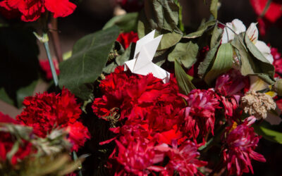 A_UNO_1502871