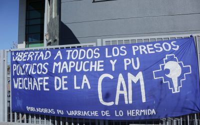 RN responde a directora del INDH por mesa de diálogo con la CAM: "Son terroristas".