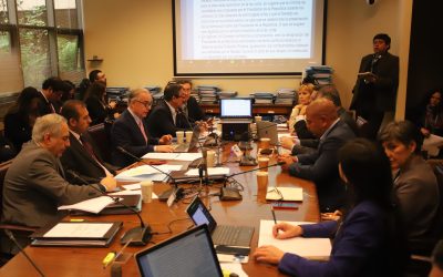 Comité de Comisión de Salud del Senado deberá plantear una reforma de Salud.
