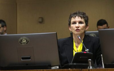 El proceso de discusión del veto a la ley de usurpaciones está llegando a su fin.