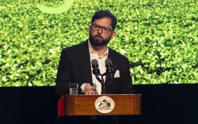 Boric no asistirá a COP28.