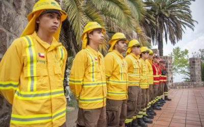 El Servicio Nacional de Prevención y Respuesta ante Desastres (Senapred) ha emitido una Alerta Roja para la comuna de Melipeuco, en la región de La Araucanía, debido a un incendio que está causando daños en el Parque Nacional Conguillío.