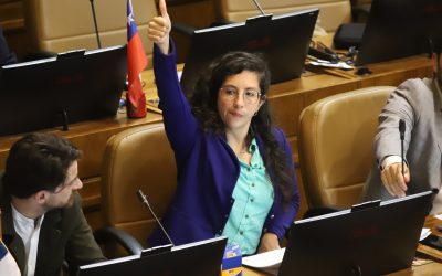 Yeomans afirma que el plazo máximo para sacar la reforma de pensiones es enero.