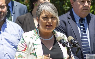Gobierno critica intento de flexibilizar feriado.