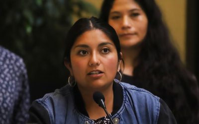 Polémica en el Congreso: Diputados no dejaron ingresar al hemiciclo a hija de Camila Rojas