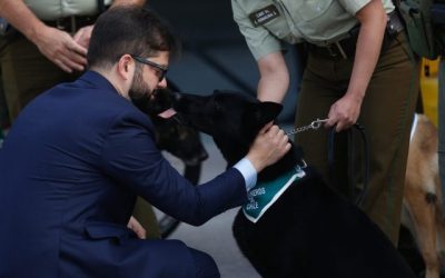 Boric defiende a Carabineros y critica dichos de dirigentes políticos.