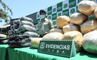 Bélgica incautó 116 toneladas de cocaína durante el 2023