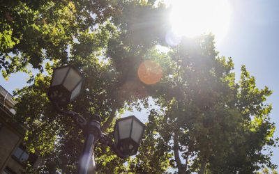 22 de julio: El día más caluroso de la historia