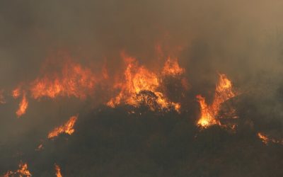 En la tarde de este martes, el Senado aprobó por una amplia mayoría, en su segundo trámite, el proyecto de ley que establece un fondo de emergencia temporal para abordar los incendios que devastaron la Región de Valparaíso en febrero de este año.