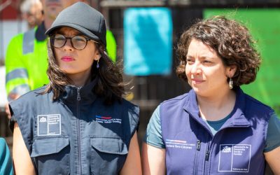Ministra enlace: las funciones de Vallejo en la crisis de los incendios y su falta de atribuciones legales